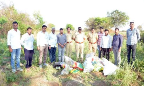 शेवगांव तालुक्यात राजरोस अफुची शेती अफुच्या झाडाची बेकायदेशिर रित्या लागवड..